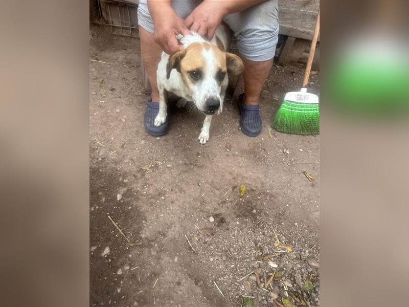 VEIT- hast du ein Körbchen für IHN?