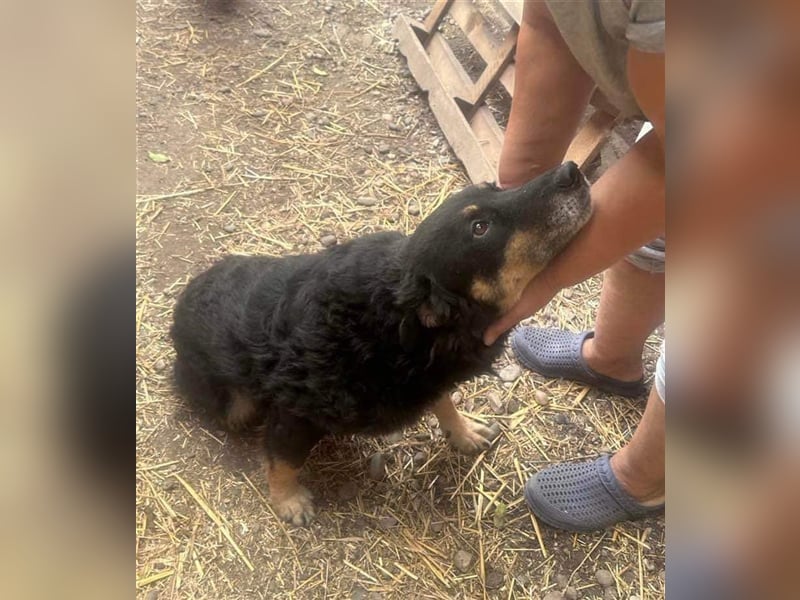Violetta sucht einen PLatz zum Ankommen