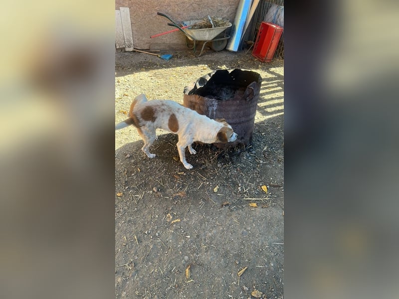 VEIT- hast du ein Körbchen für IHN?