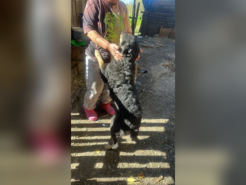 Violetta sucht einen PLatz zum Ankommen