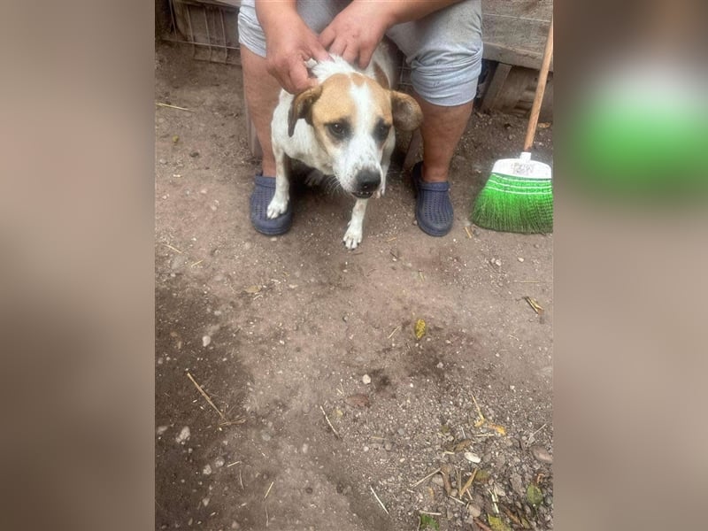 VEIT- hast du ein Körbchen für IHN?