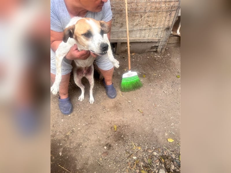 VEIT- hast du ein Körbchen für IHN?