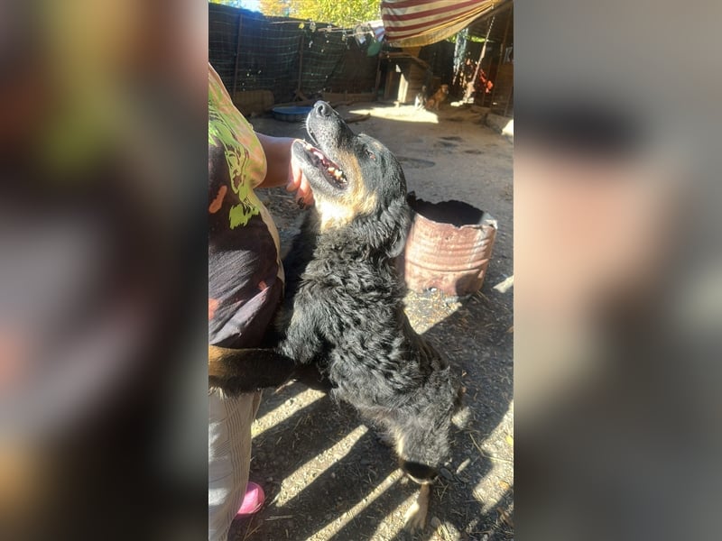 Violetta sucht einen PLatz zum Ankommen