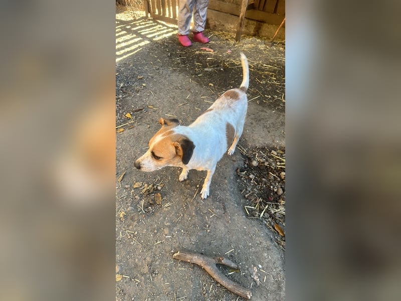 VEIT- hast du ein Körbchen für IHN?