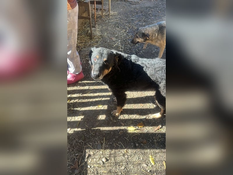 Violetta sucht einen PLatz zum Ankommen