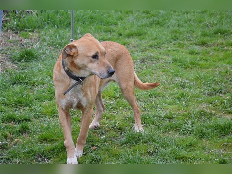 Lumpi - ein toller Wegbegleiter