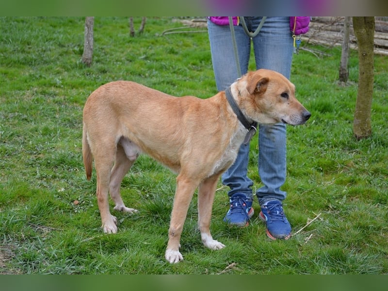 Lumpi - ein toller Wegbegleiter