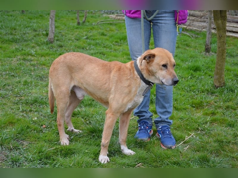 Lumpi - ein toller Wegbegleiter