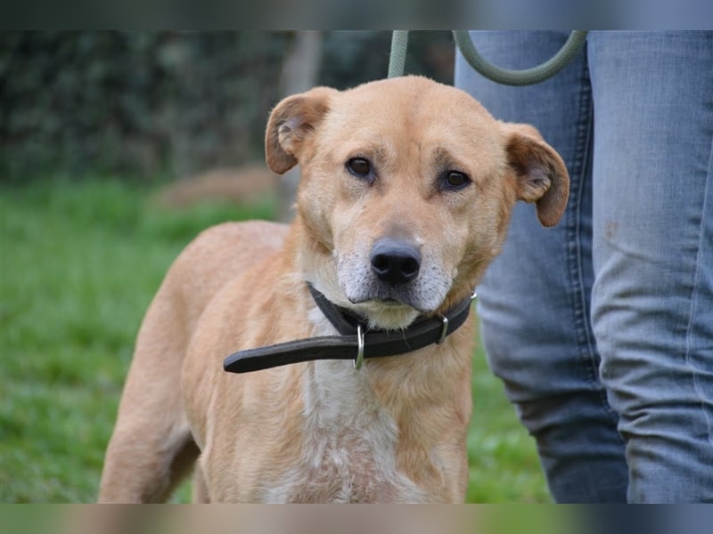 Lumpi - ein toller Wegbegleiter