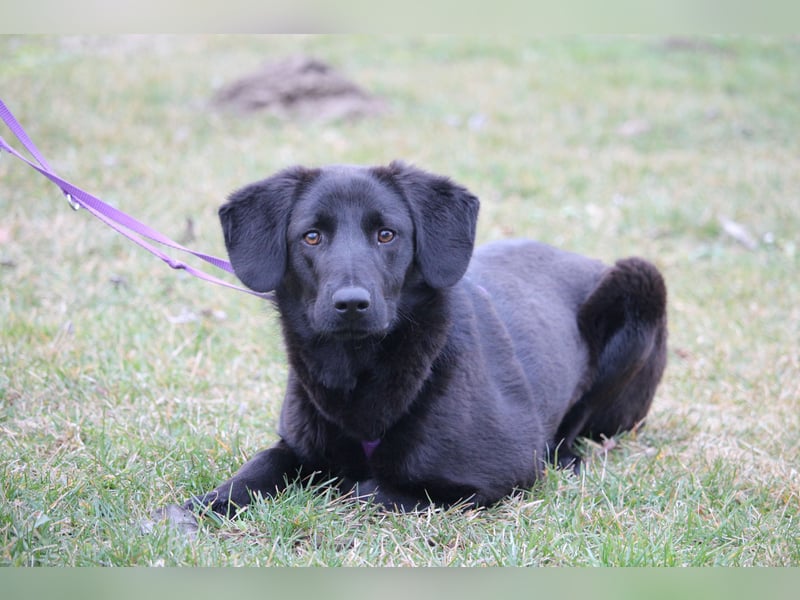 Milana  sucht ihr Glück...