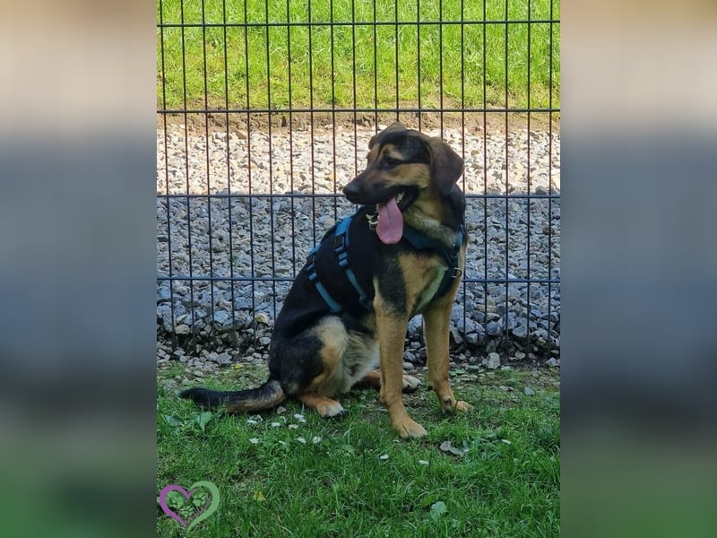 Maglina wartet auf ihre Herzensmenschen.