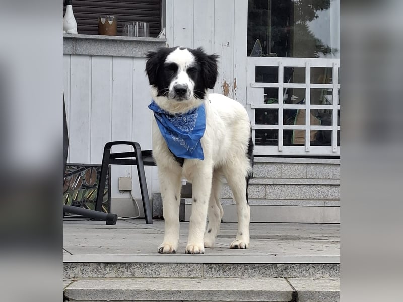 Mali sucht seine Menschen...