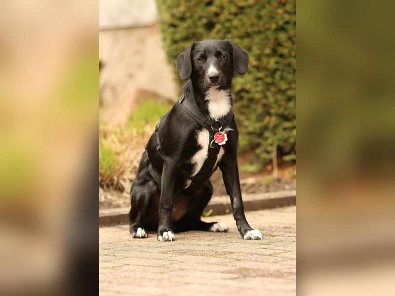 Tinella sucht liebevolle Familie...