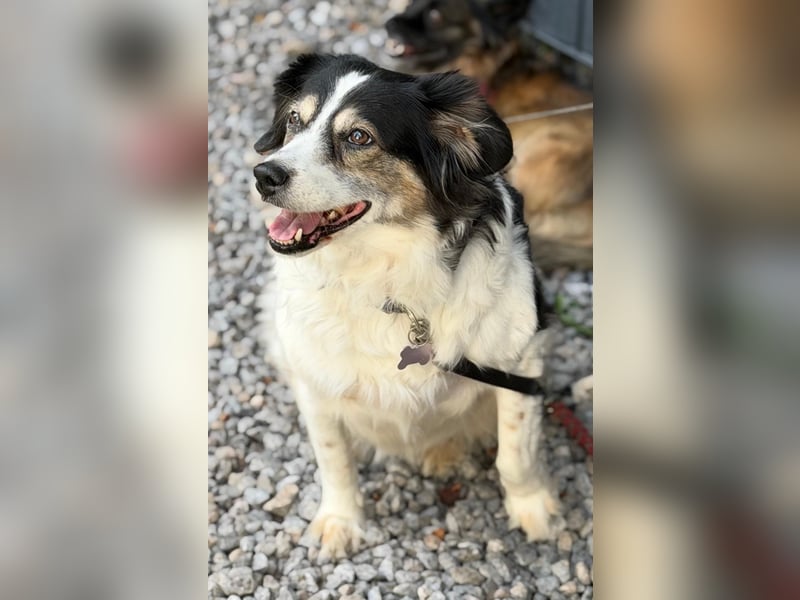 Lola unsere hübsche Dame...