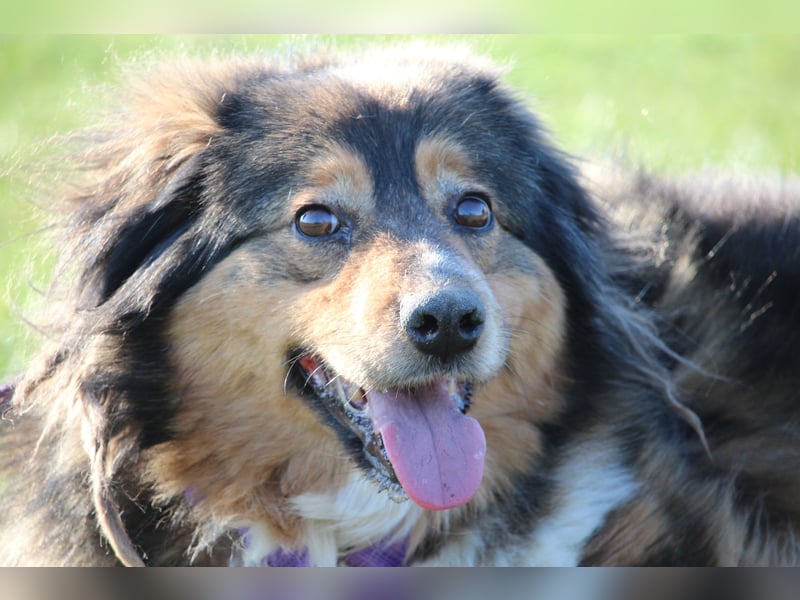 Rusina sucht ihre Lieblingsmenschen..