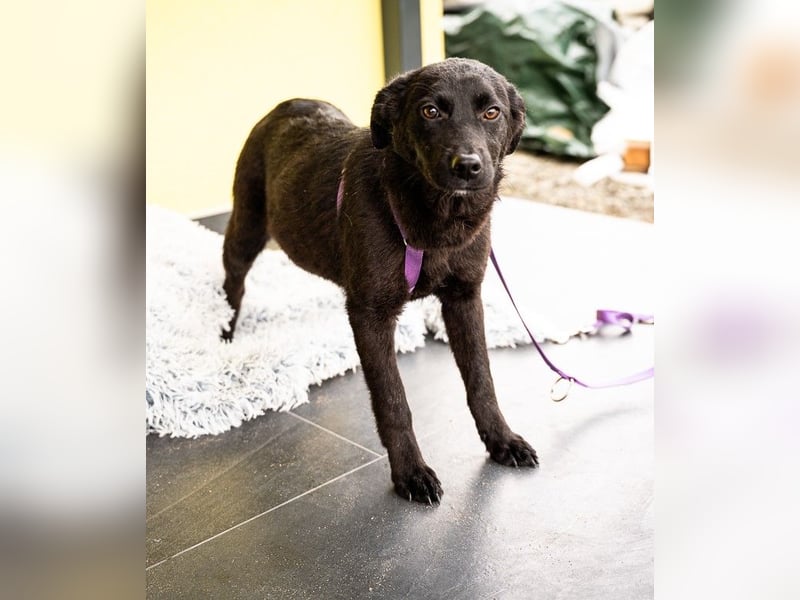 Beauty sucht ihr Glück...