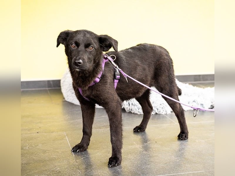 Beauty sucht ihr Glück...