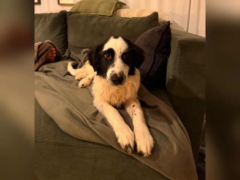 Mali sucht seine Menschen...