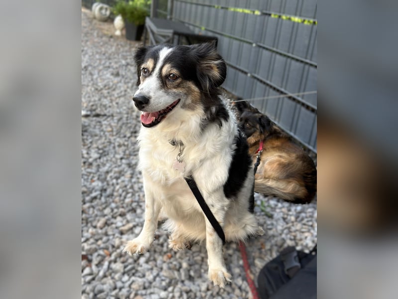 Lola unsere hübsche Dame...