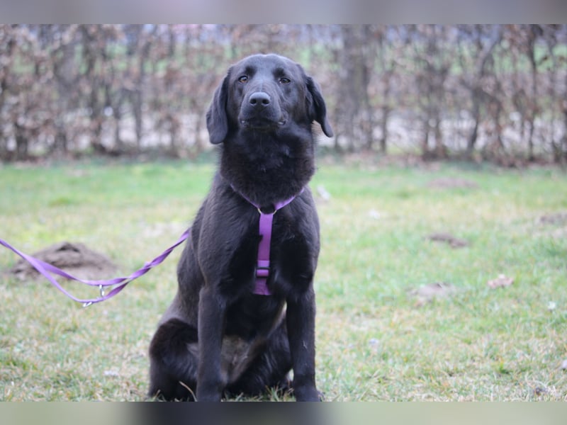 Milana  sucht ihr Glück...