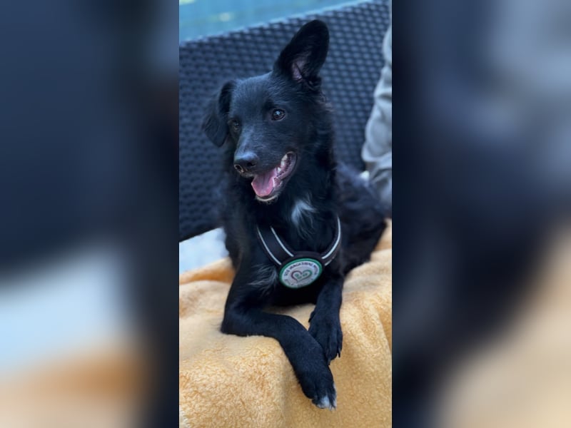 Ace such seine Herzensmenschen...