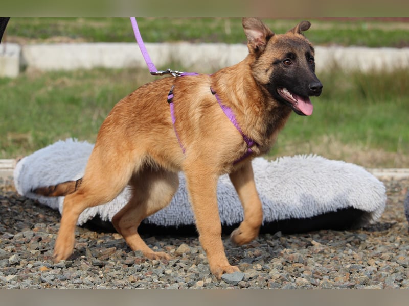 Kessy unsere große Schönheit...