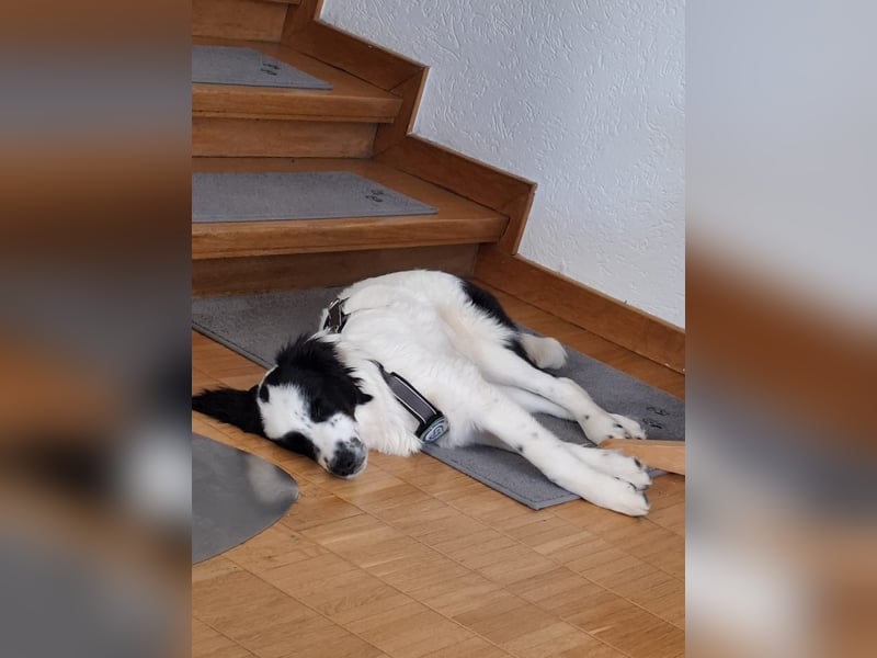 Mali sucht seine Menschen...