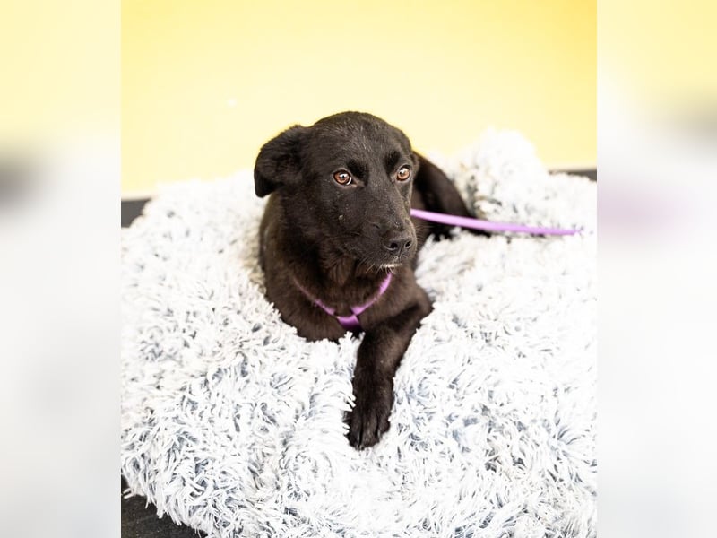 Beauty sucht ihr Glück...