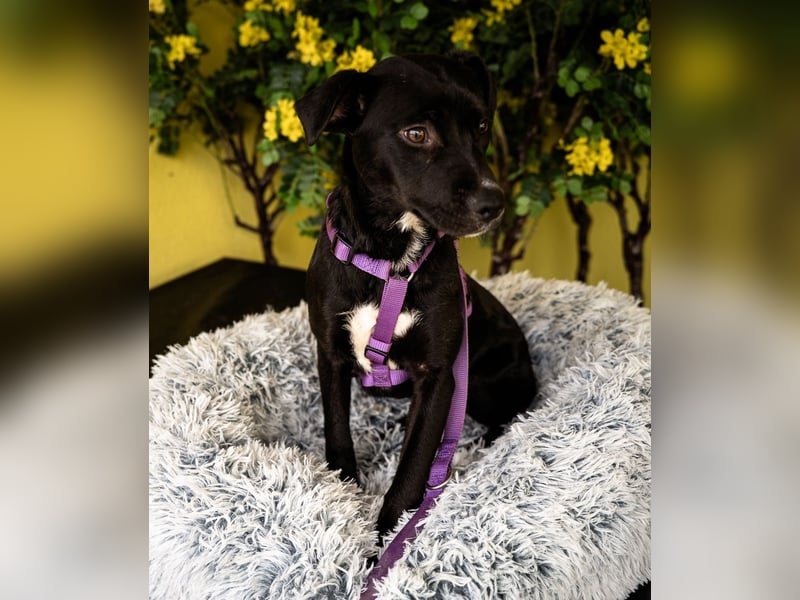 Sweety möchte ihr Herz verschenken....