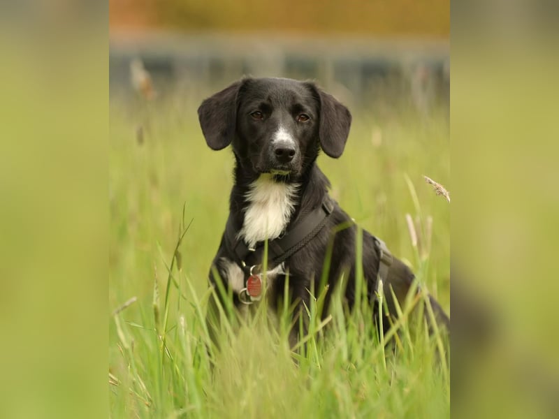 Tinella sucht liebevolle Familie...