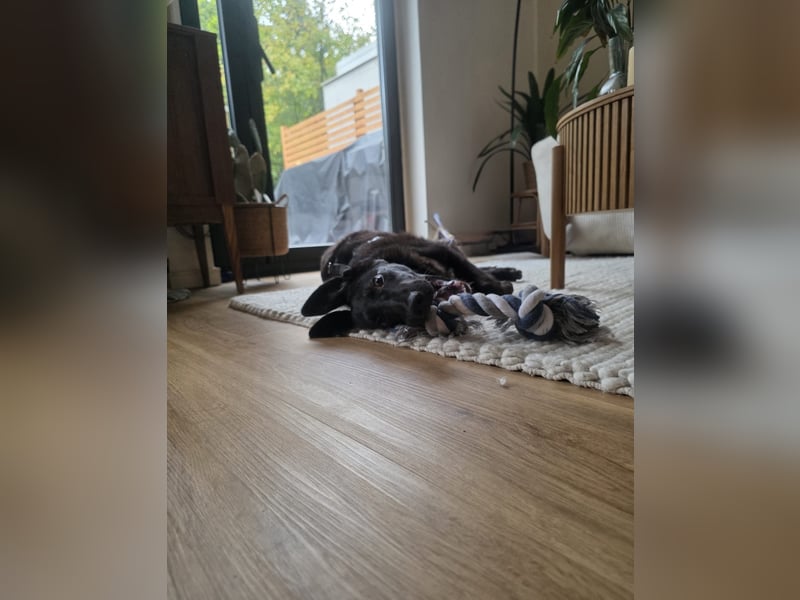 Don sucht seine erfahrenen Menschen...