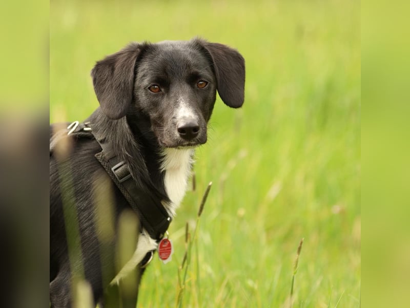 Tinella sucht liebevolle Familie...