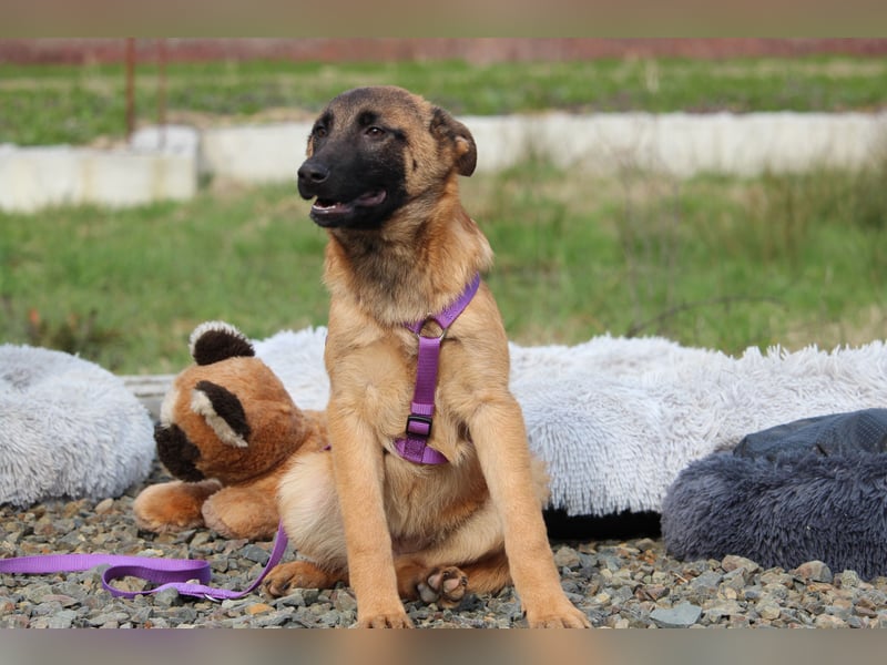 Kessy unsere große Schönheit...