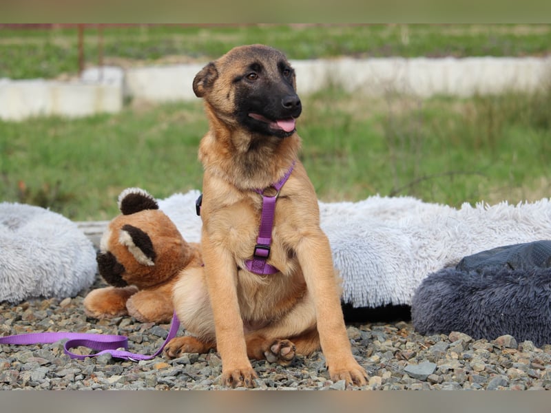 Kessy unsere große Schönheit...