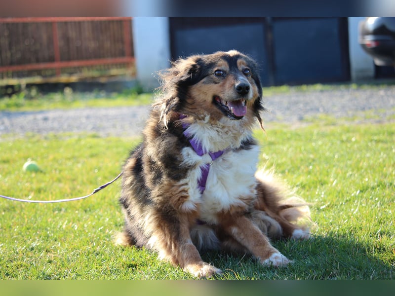 Rusina sucht ihre Lieblingsmenschen..