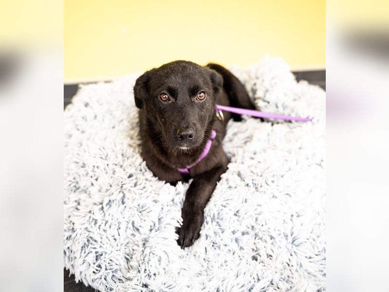 Beauty sucht ihr Glück...