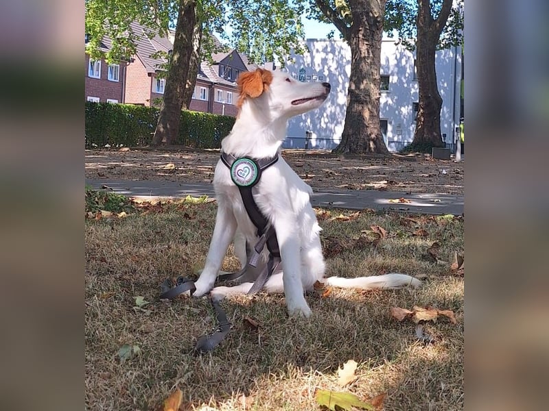 Aleika unsere kleine Schönheit..