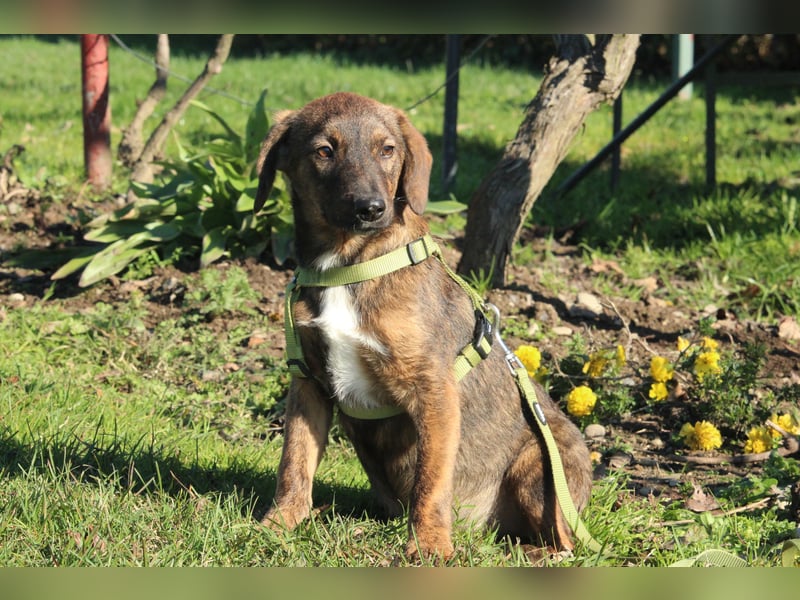 Fynn sucht sein Glück...