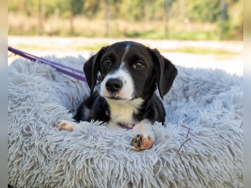 Gigi unsere kleine Prinzessin...