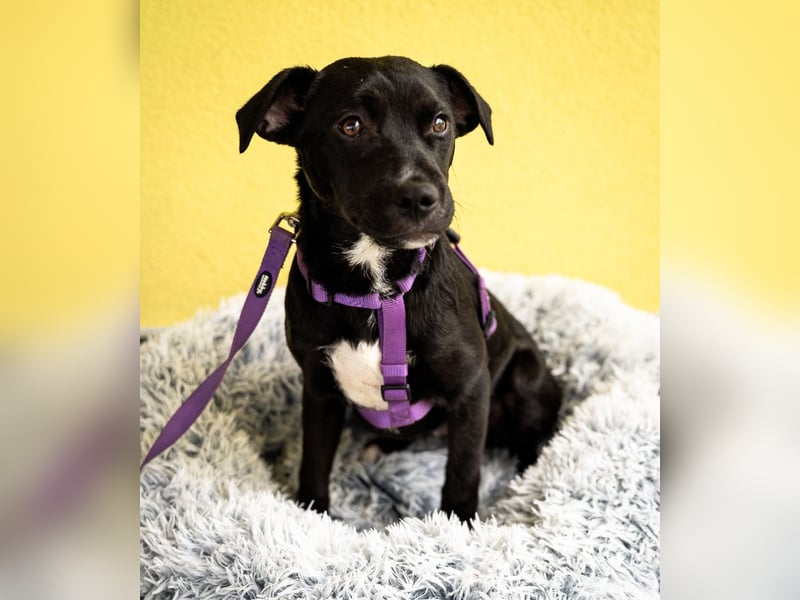 Sweety möchte ihr Herz verschenken....