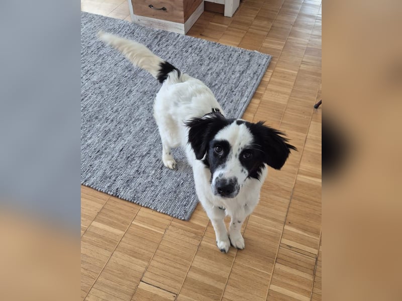 Mali sucht seine Menschen...