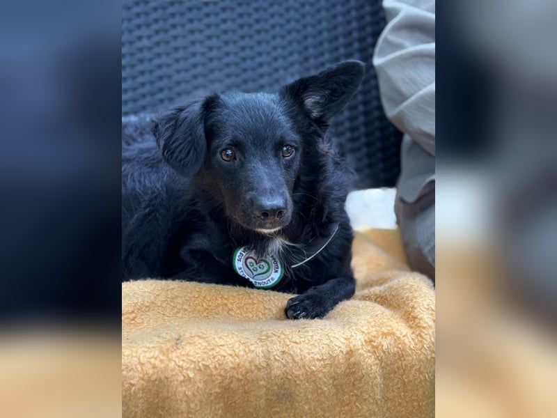 Ace such seine Herzensmenschen...