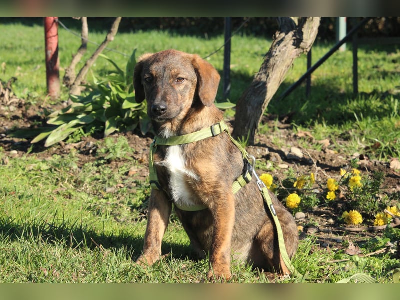 Fynn sucht sein Glück...