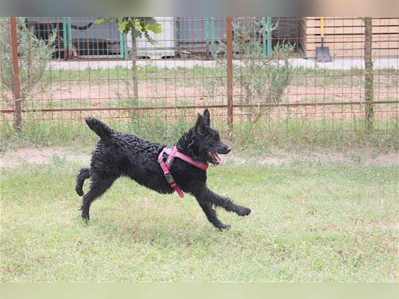 LUCKY, zuckersüsser Fratz