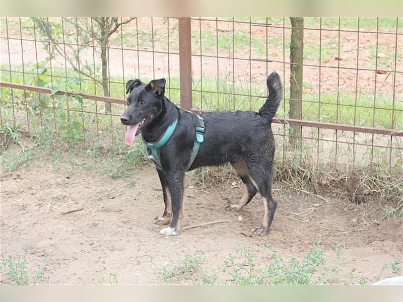 TIMMI, zuckersüsser Fratz