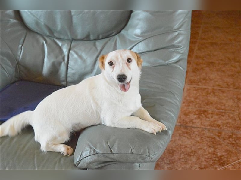 DIVA, zuckersüsse Maus