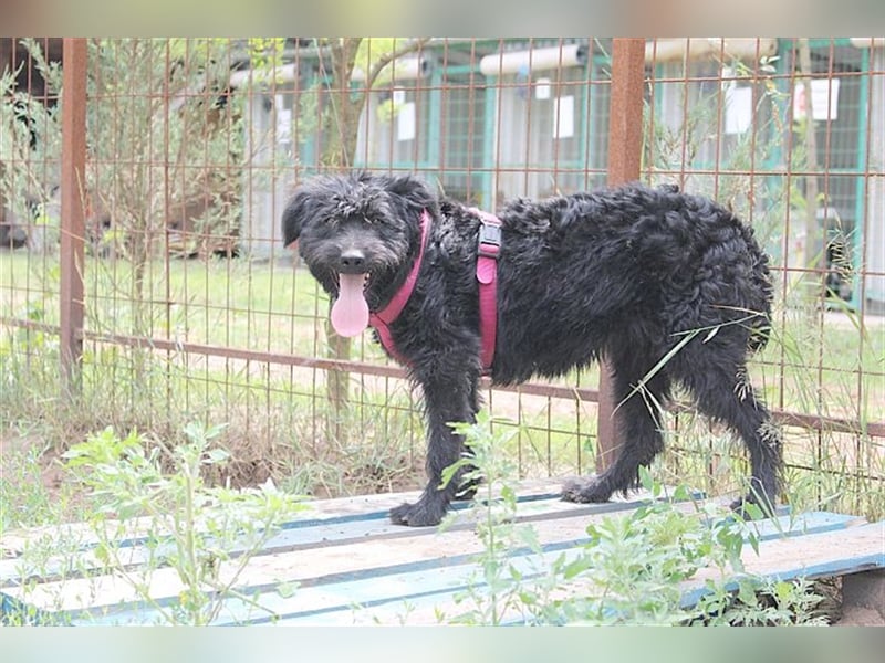 LUCKY, zuckersüsser Fratz