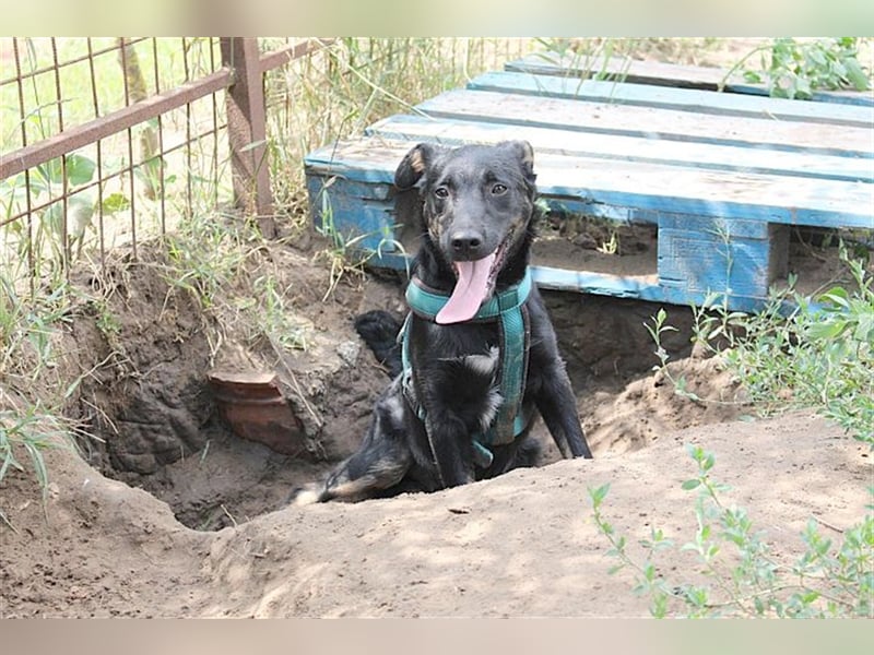 TIMMI, zuckersüsser Fratz