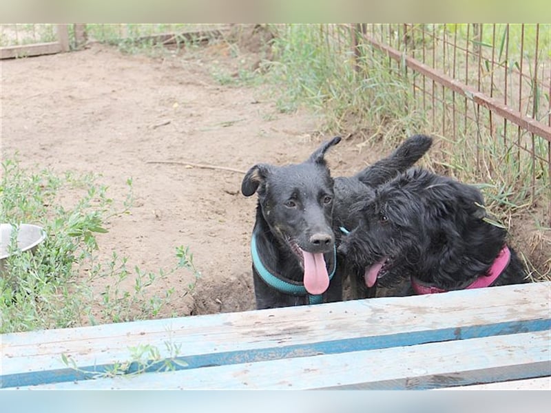 LUCKY, zuckersüsser Fratz