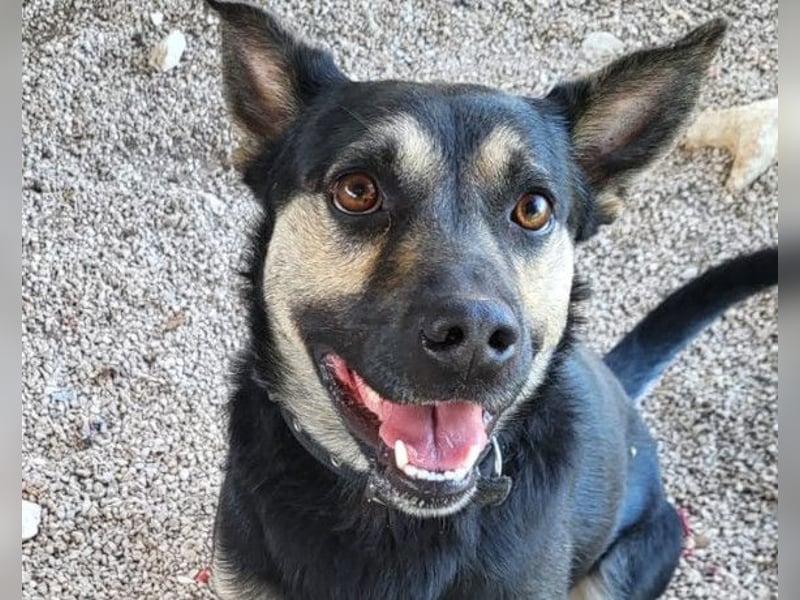 Otto ❤️ so freundlich und verträglich!